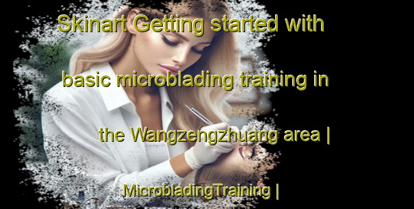 Skinart Getting started with basic microblading training in the Wangzengzhuang area | MicrobladingTraining | MicrobladingClasses | SkinartTraining-China